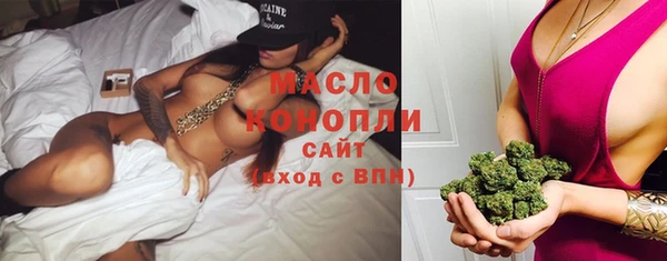 ешки Горняк
