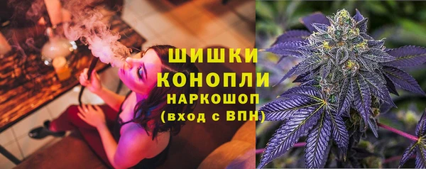 тгк Горно-Алтайск